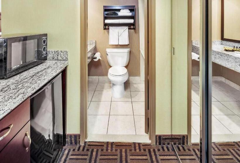 غرفة قياسية سرير كينج, Best Western Plus Redondo Beach Inn