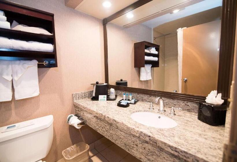 غرفة قياسية سرير كينج, Best Western Plus Redondo Beach Inn