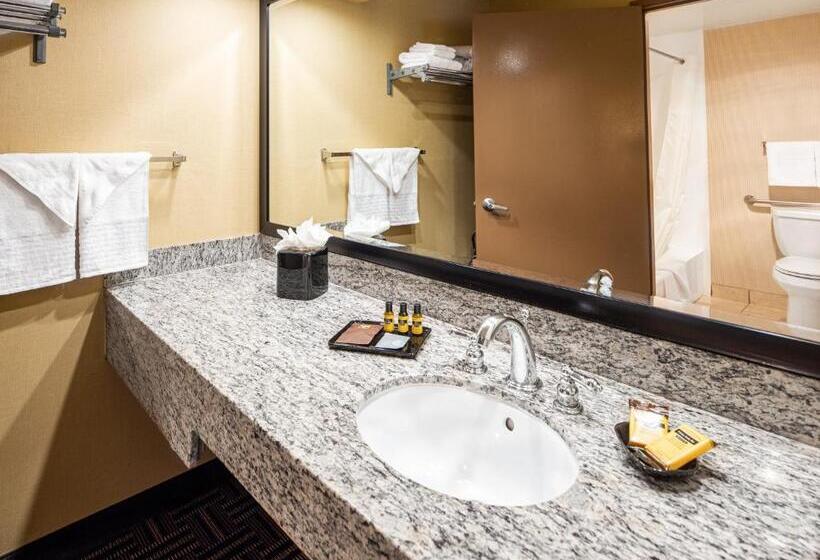 غرفه قياسيه سريرين مزدوجين, Best Western Plus Redondo Beach Inn