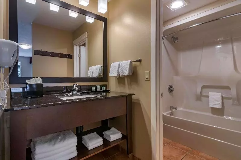 キングサイズベッドのデラックスルーム, Best Western Sicamous Inn