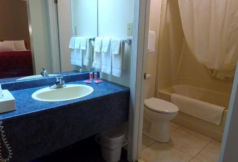 חדר סטנדרט, Econo Lodge Inn & Suites