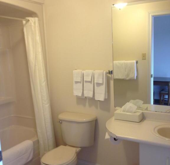 חדר סטנדרט, Econo Lodge Inn & Suites