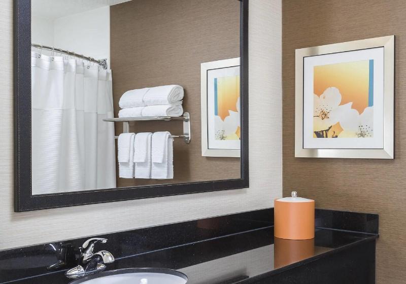 스탠다드 룸 킹사이즈 침대, Fairfield Inn Muncie