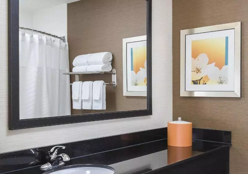 キングサイズベッドのスタンダードルーム, Fairfield Inn Muncie