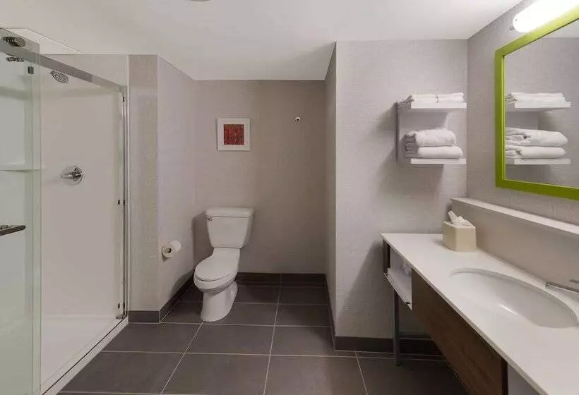 キングサイドベッドのスタンダードワンルーム, Hampton Inn Nanuet