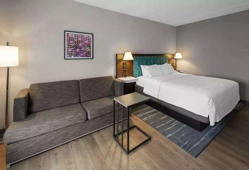 キングサイドベッドのスタンダードワンルーム, Hampton Inn Nanuet