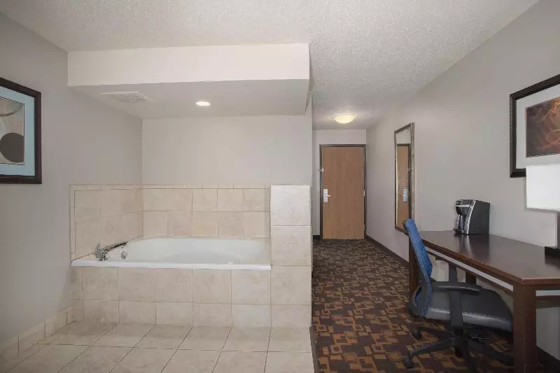 اتاق استاندارد با تخت بزرگ, Holiday Inn Express & Suites Yankton, An Ihg