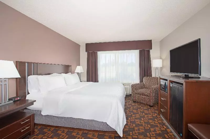 اتاق اجرایی با تخت بزرگ, Holiday Inn Express & Suites Yankton, An Ihg