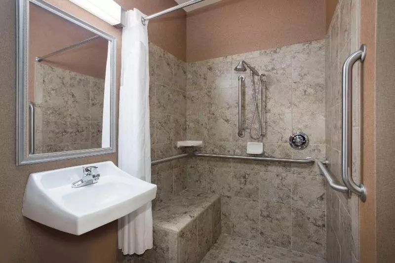 اتاق استاندارد با تخت بزرگ, Holiday Inn Express & Suites Yankton, An Ihg
