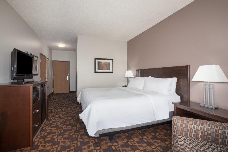 اتاق استاندارد با تخت بزرگ, Holiday Inn Express & Suites Yankton, An Ihg