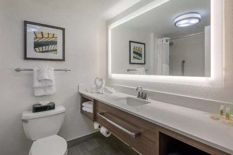 اتاق استاندارد با تخت بزرگ, Holiday Inn Melbourne Viera Conference Ctr, An Ihg