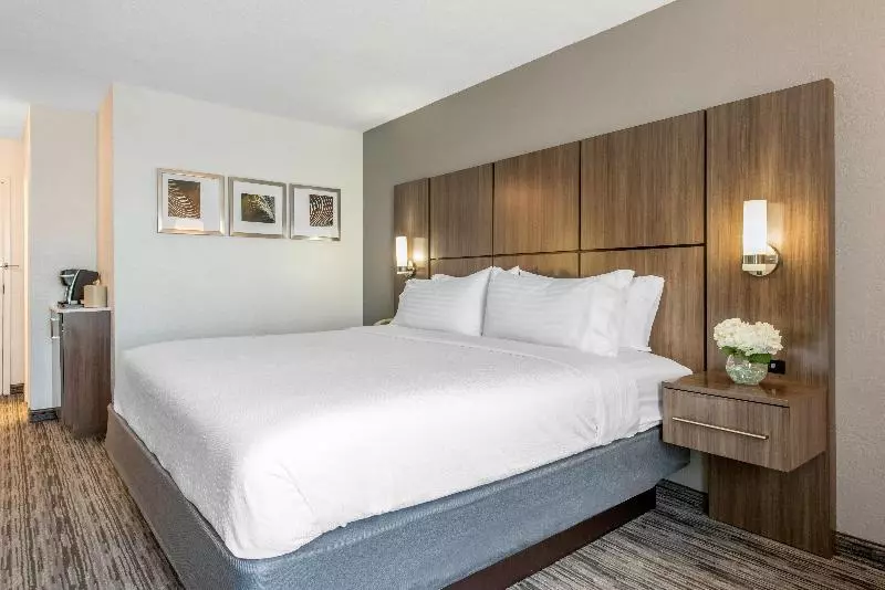 اتاق استاندارد با تخت بزرگ, Holiday Inn Melbourne Viera Conference Ctr, An Ihg