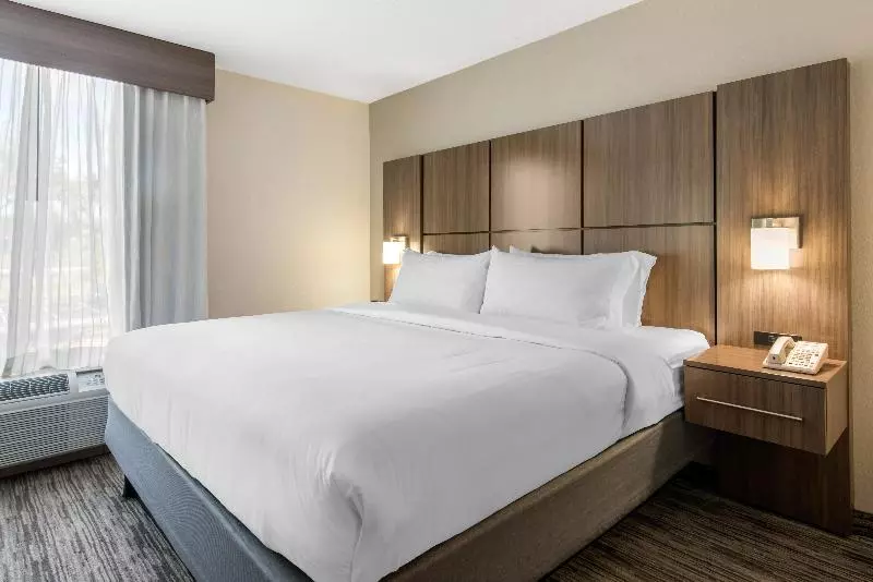 اتاق استاندارد با تخت بزرگ, Holiday Inn Melbourne Viera Conference Ctr, An Ihg