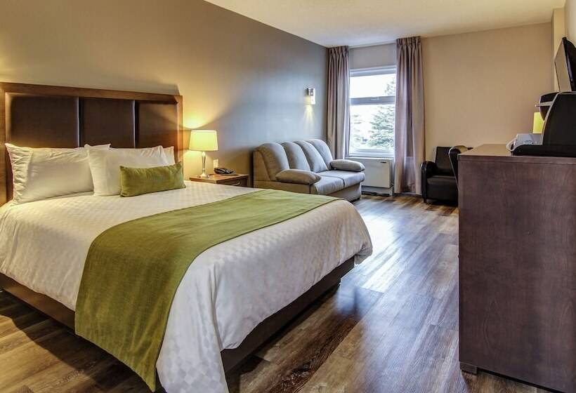 חדר סטנדרט שתי מיטות זוגיות, Hôtel Du Jardin