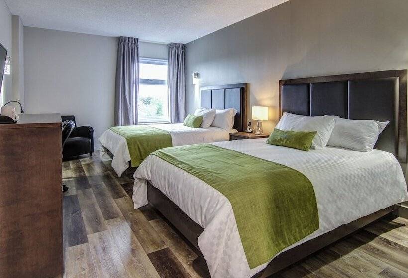 חדר סטנדרט שתי מיטות זוגיות, Hôtel Du Jardin