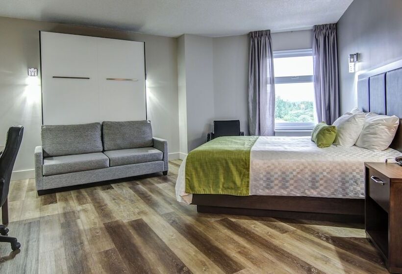 חדר סטנדרט שתי מיטות זוגיות, Hôtel Du Jardin