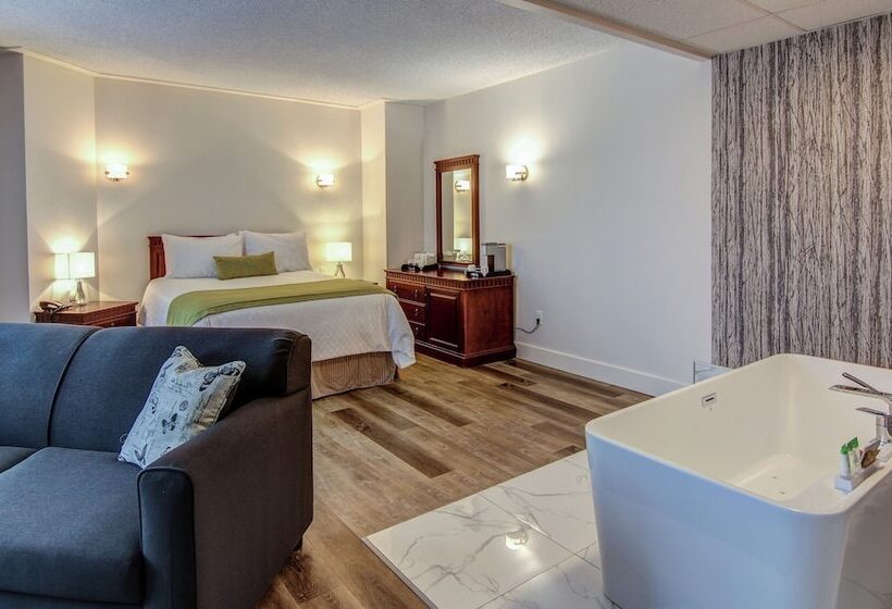 חדר דלוקס, Hôtel Du Jardin