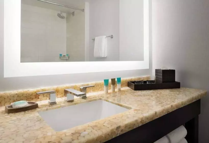 اتاق استاندارد با 2 تخت دوبل, Hyatt Regency Schaumburg Chicago