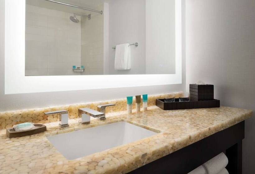 סוויטה אקזקיוטיב, Hyatt Regency Schaumburg Chicago