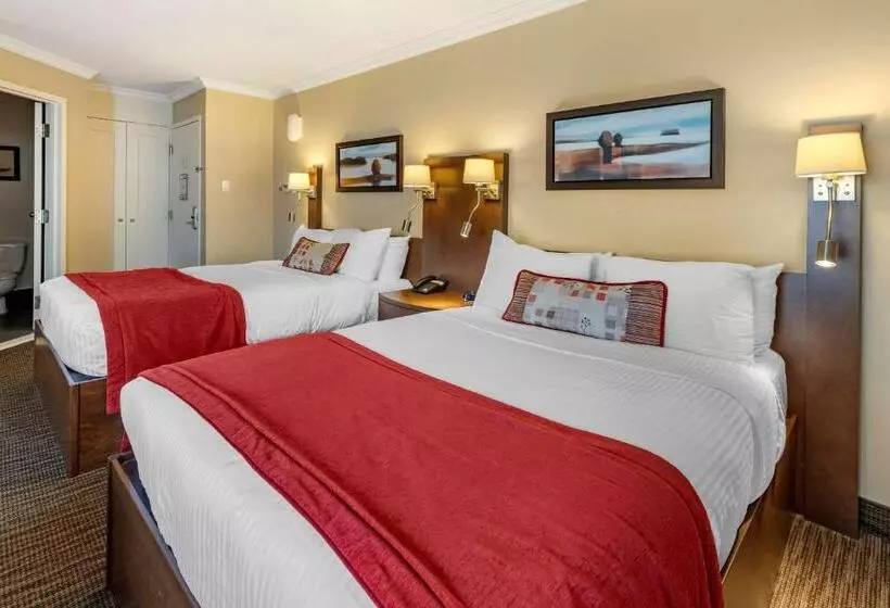 ２ダブルベッドのスタンダードルーム, Le Noranda Hotel & Spa, Ascend Hotel Collection