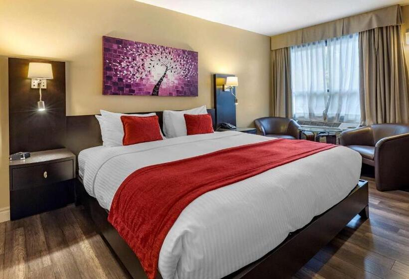 스탠다드 룸 킹사이즈 침대, Le Noranda Hotel & Spa, Ascend Hotel Collection