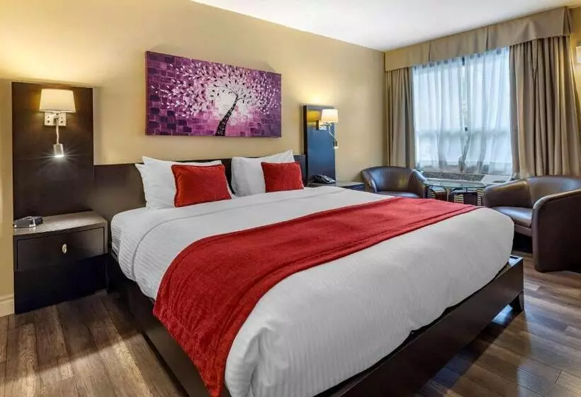 キングサイズベッドのスタンダードルーム, Le Noranda Hotel & Spa, Ascend Hotel Collection