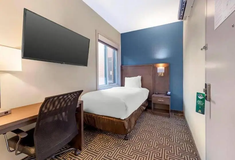スタンダードシングルルーム, Quality Inn Centre Ville