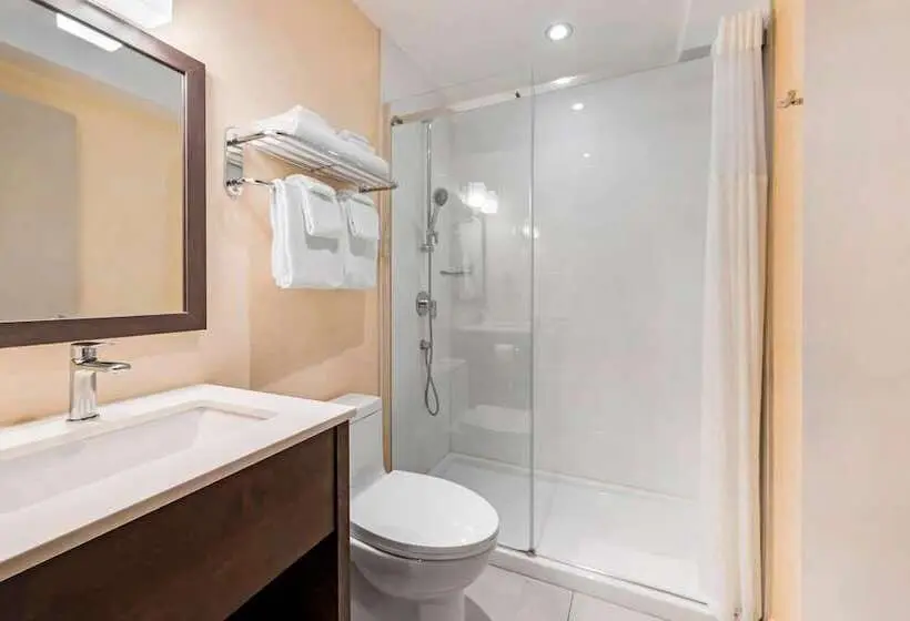 ２ダブルベッドのスタンダードルーム, Quality Inn Centre Ville