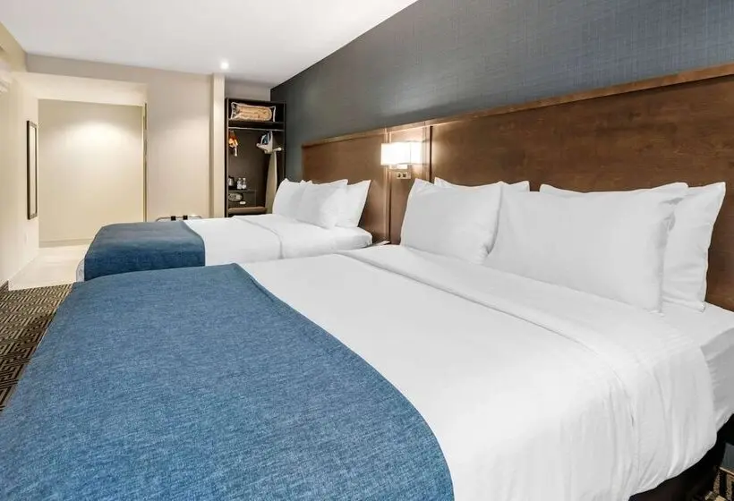 ２ダブルベッドのスタンダードルーム, Quality Inn Centre Ville