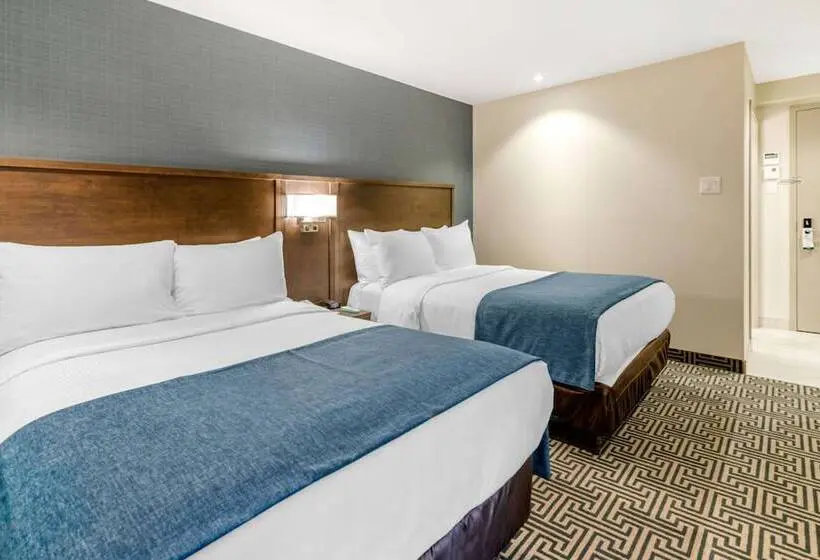 ２ダブルベッドのスタンダードルーム, Quality Inn Centre Ville