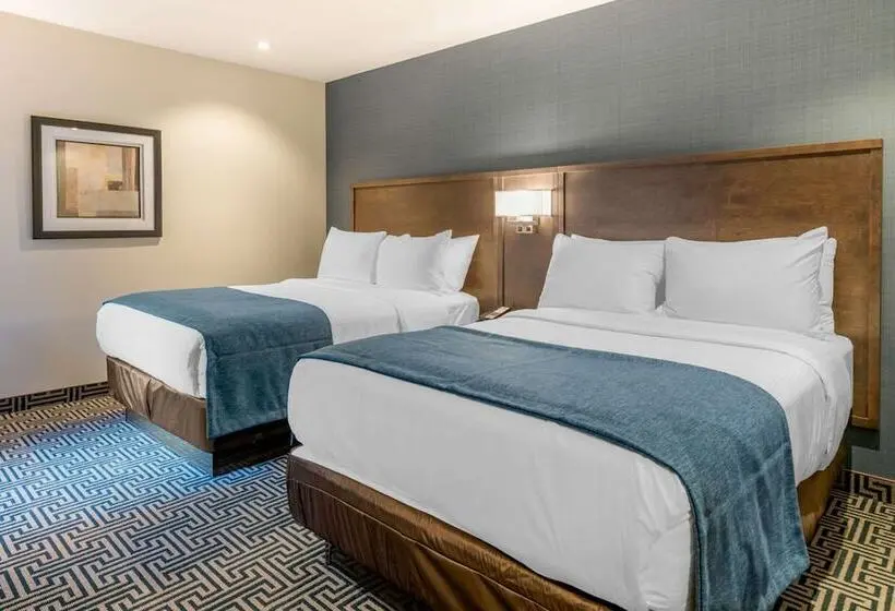 ２ダブルベッドのスタンダードルーム, Quality Inn Centre Ville