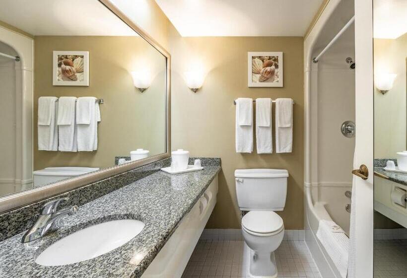 标准间, Welcominns