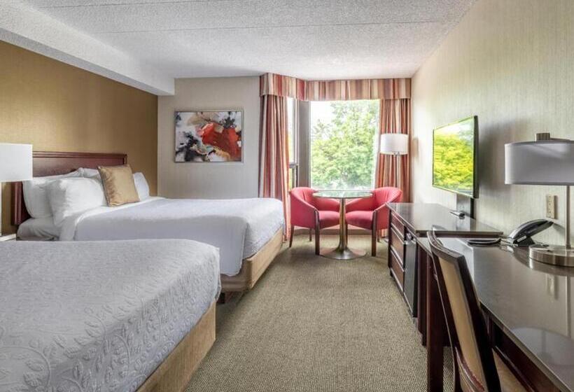 带2个双人床的标准工作室, Welcominns