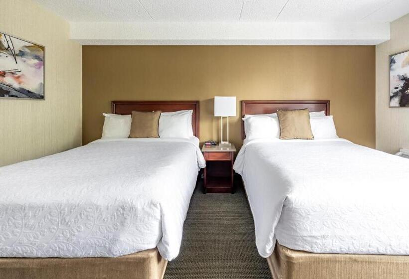 带2个双人床的标准工作室, Welcominns