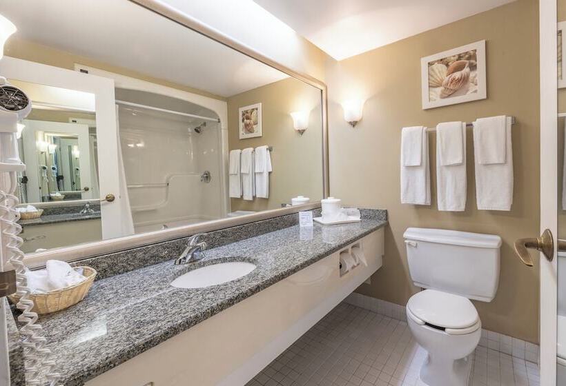 带2个双人床的标准工作室, Welcominns