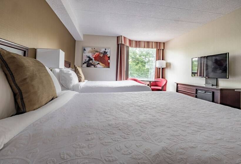 带2个双人床的标准工作室, Welcominns