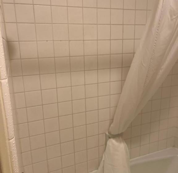 带大床的标准间, Western Inn Lakewood