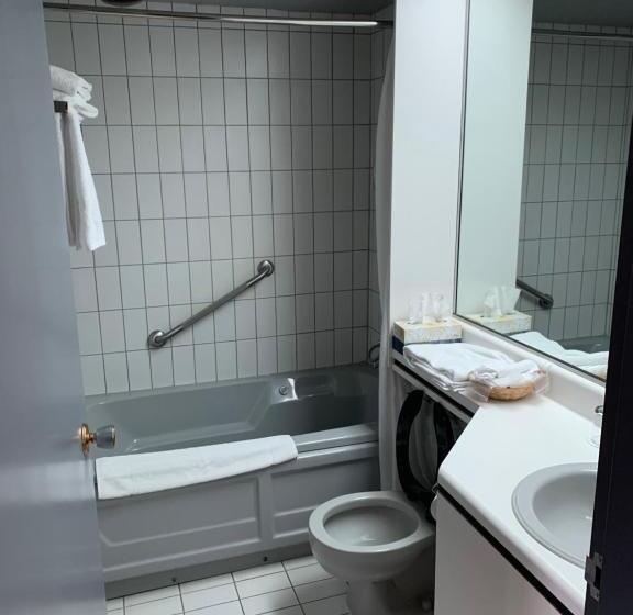 スタンダードルーム, Motel Chute Des Pères