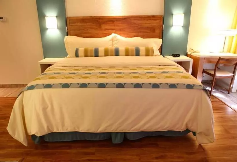 Superior-huone, Motel Chute Des Pères