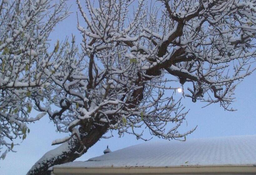 استودیوی استاندارد, Almond Court Motel