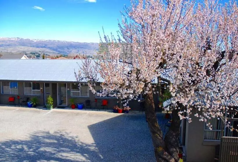 Standard-studio, Almond Court Motel