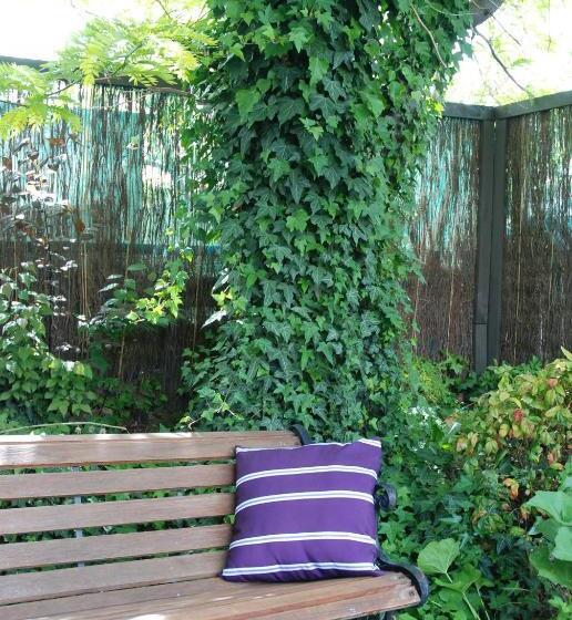 استودیوی استاندارد, Almond Court Motel