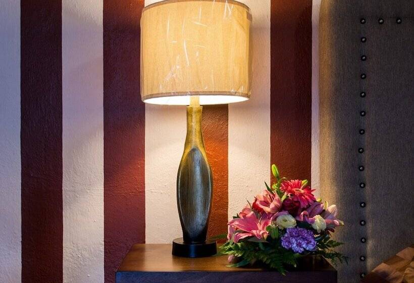 جناح, Posada De Roger