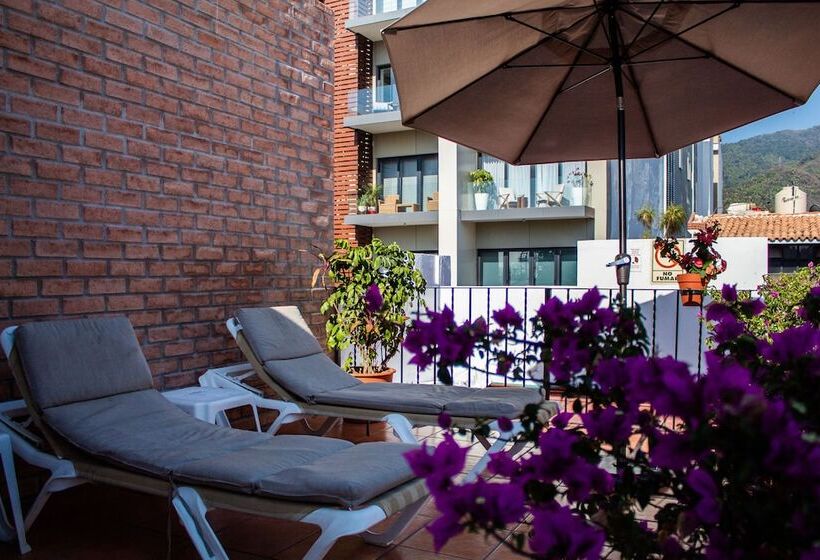 جناح, Posada De Roger