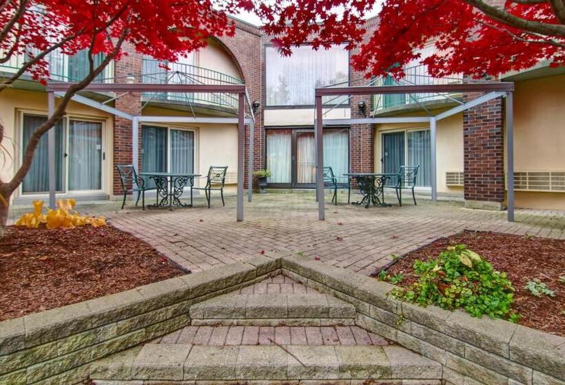 标准间, The Inn Of Waterloo