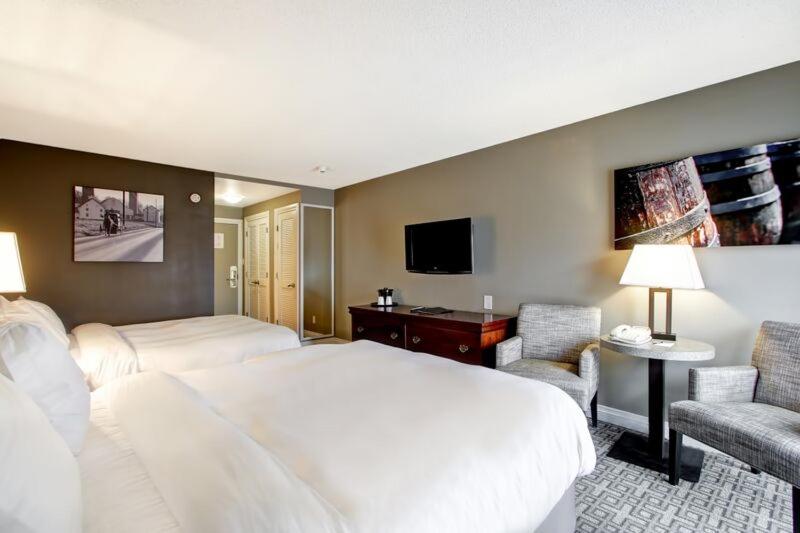 标准间, The Inn Of Waterloo