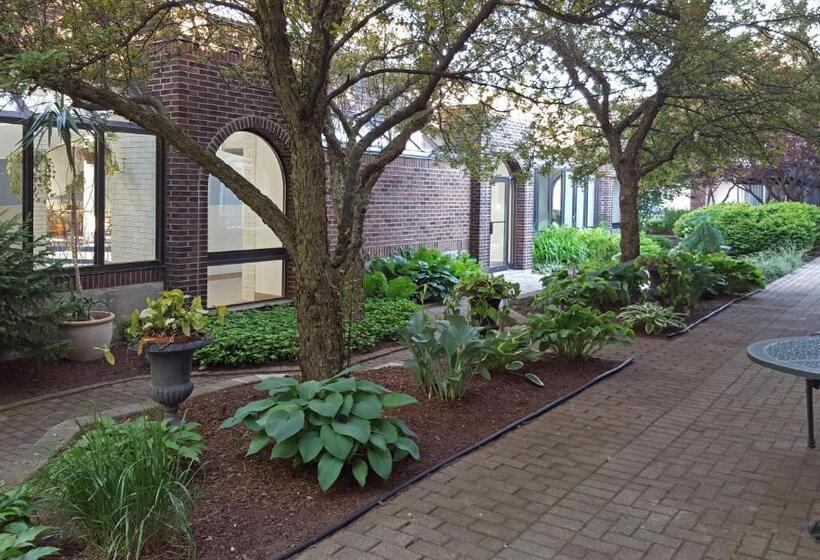 带大床的标准间, The Inn Of Waterloo