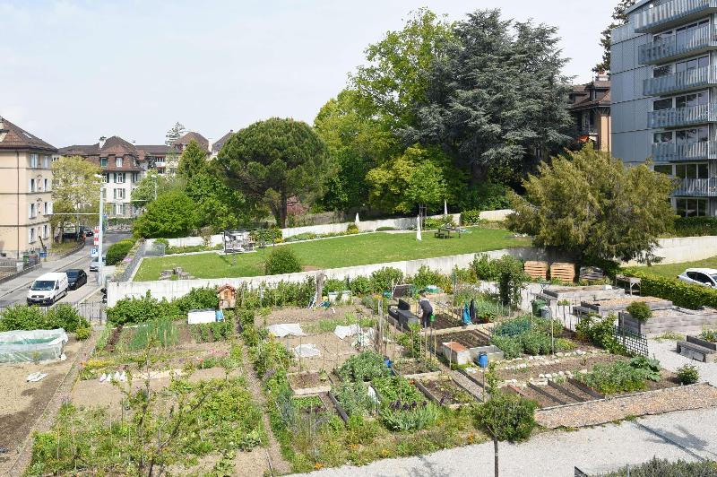 标准间, Tulip Inn Beaulieu Lausanne