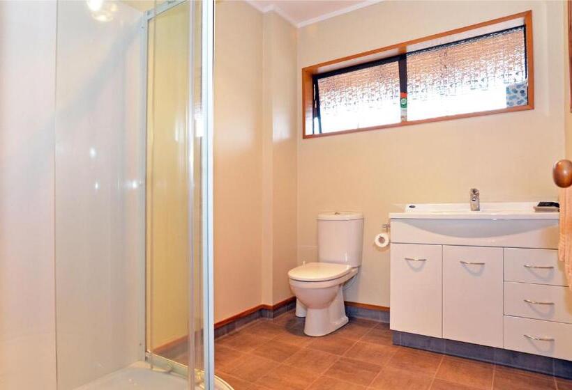 Апартаменты 1 Спальня, Mosgiel Regency Motel