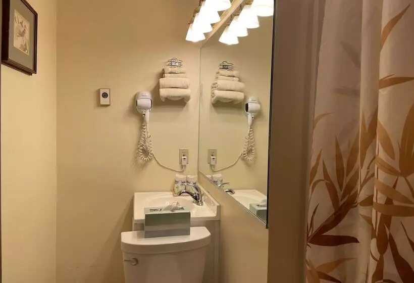 اتاق اکونومی, Oasis Guest House